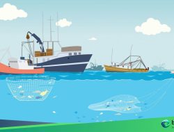 Illegal Fishing dan Masa Depan Pariwisata Togean